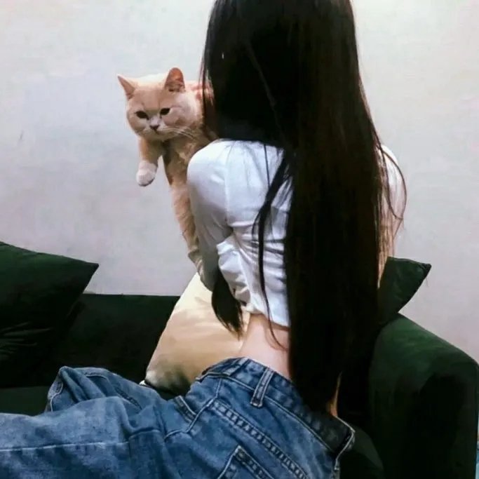 笨钱效应